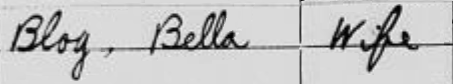 Bella Blog 1910 US census NY