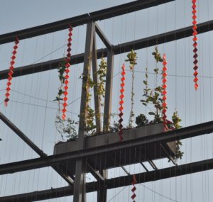 hanging plants at munro martin parklands