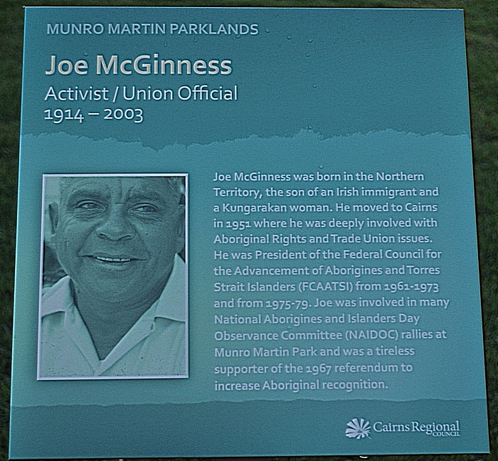 joe mcginness