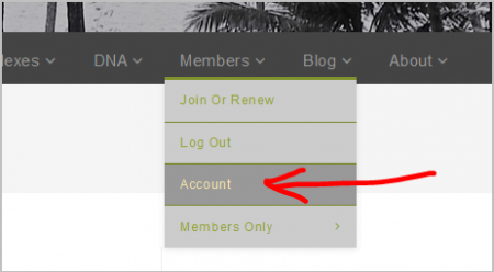 Member Account